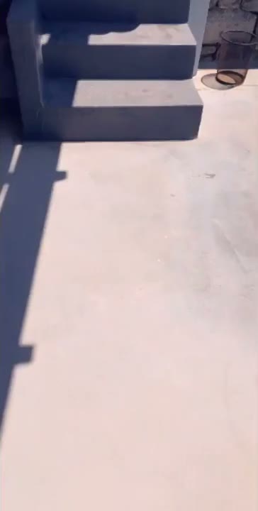 Hot Dirty Snapchat Chicks with Thick Ass and Big Boobs Having Fun Poolside
